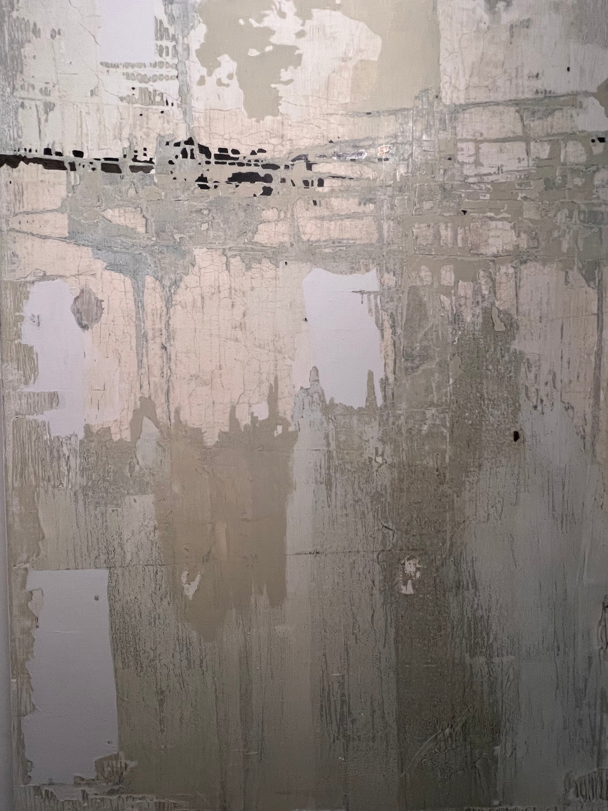 Urban - Sarita Reynolds