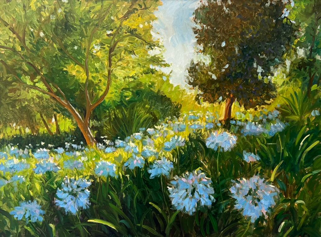 Brad Betts - Alice Keck Park Alliums