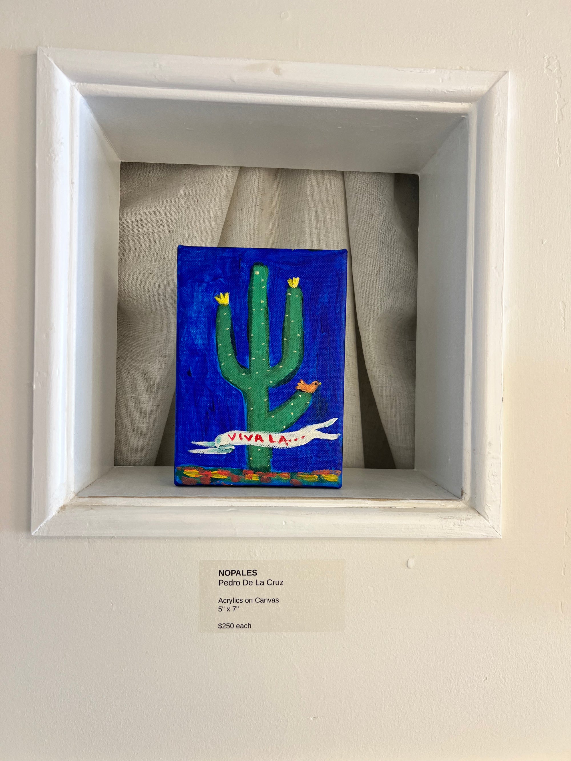 NOPAL AZUL- Pedro De La Cruz