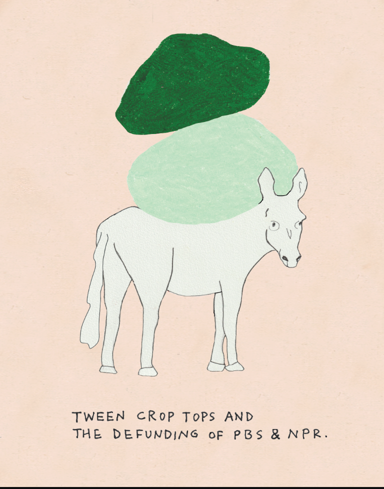 Tween Crop Tops - Olivia Joffrey