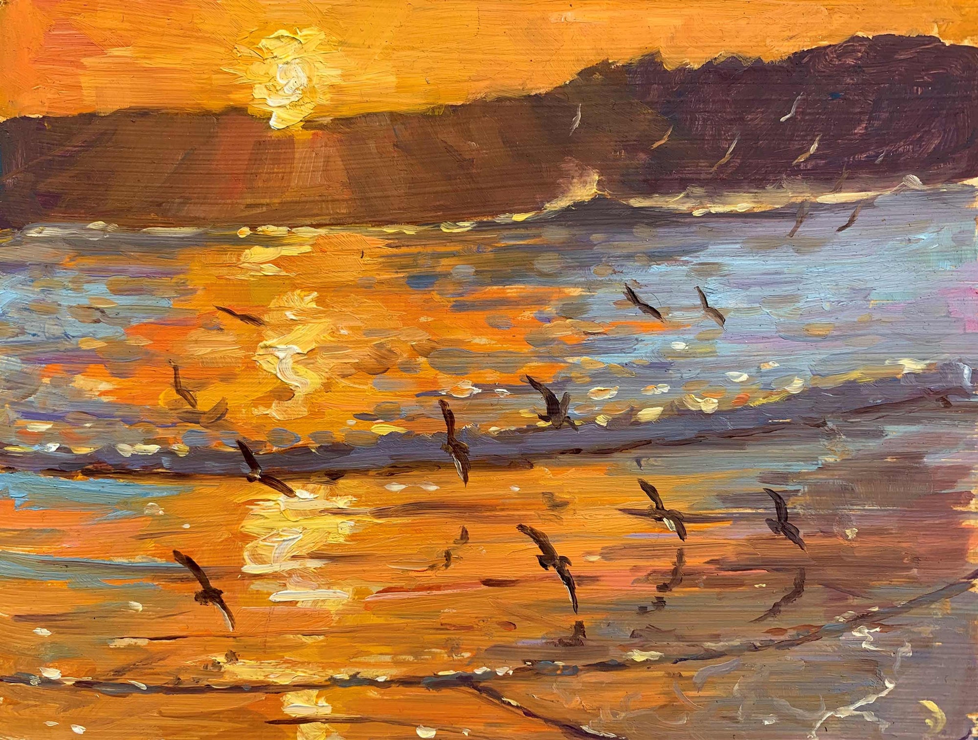 Brad Betts - Skimmers at Sunset