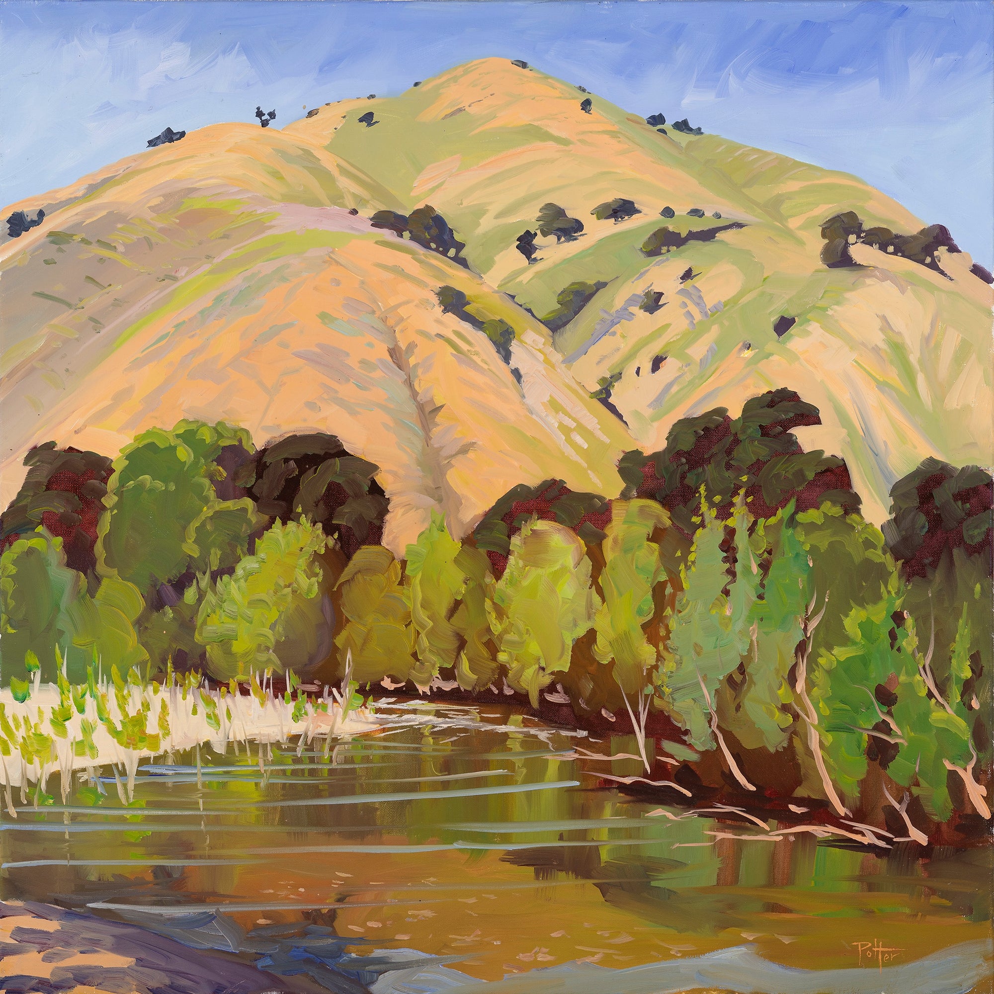 White Rocks River - Chris Potter